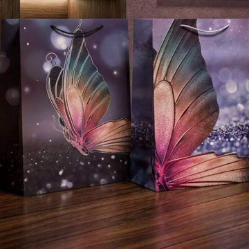 JU215	Empaque Bolsa Regalo de Cartón 30 X 41.5 X12CM (2815-L)
