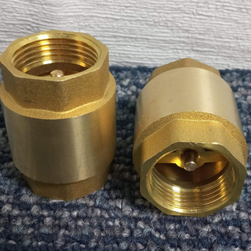 AGR12	Industrial Bomba Presurizado Válvula de Check de doble diente interno 3/4" (134 g)